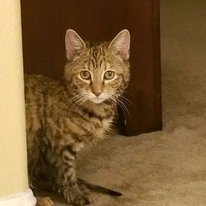 Meet your Posher, Kimberly